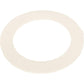 Waterway Plastics WW7113250 Flat Gasket for Maxi-Flo & Super Hi-Flo Suctions