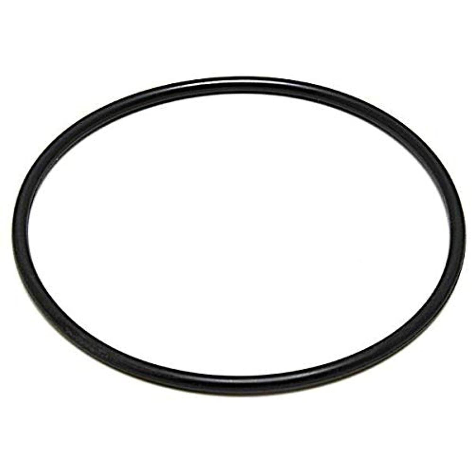 Waterway Plastics 806105129659 Diffuser O-Ring - Getlegitdeals