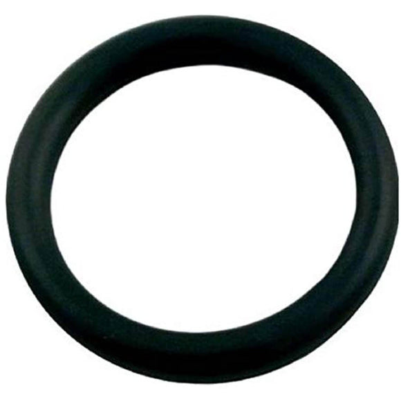 Zodiac 6-505-00 Universal Wall Fitting and Quick Disconnect O-Ring Replacement for Select Polaris Pool Cleaner - Getlegitdeals