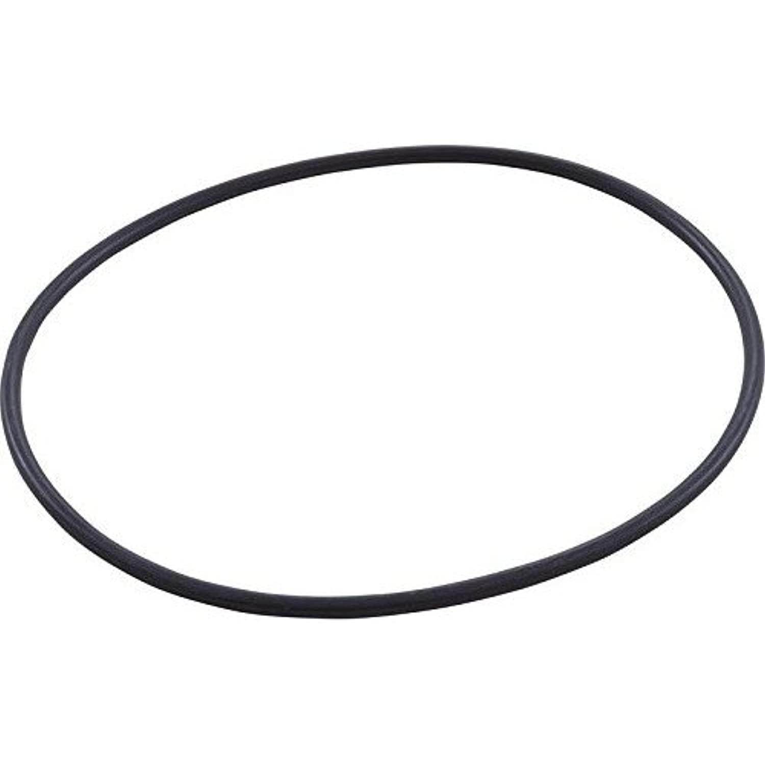 Hayward SPX0710XZ5 Housing O-Ring Replacement for Hayward Power-Flo Matrix Pump and Sand Filter Valves - Getlegitdeals