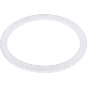 Waterway Plastics 806105124715 Poly Storm Spa Jet Flat Gasket - Getlegitdeals