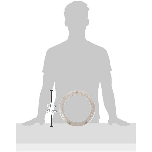 Pentair 79110600 Stainless Steel Face Ring Assembly Replacement Pool and Spa Light - Getlegitdeals