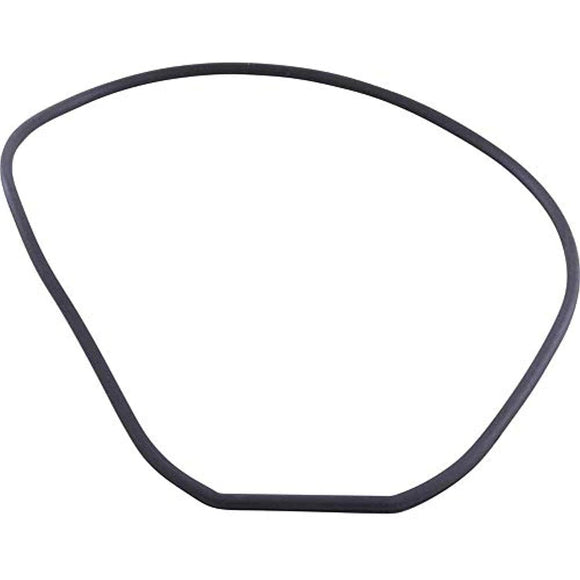 Waterway Plastics 806105241511 Housing Round Gasket - Getlegitdeals