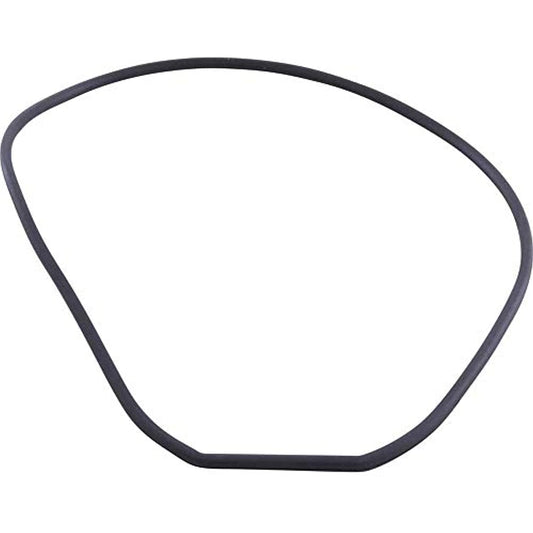 Waterway Plastics 806105241511 Housing Round Gasket