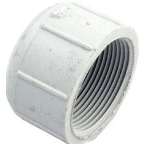 Pentair PacFab 1 1/2" Threaded Cap TR Filter - Getlegitdeals