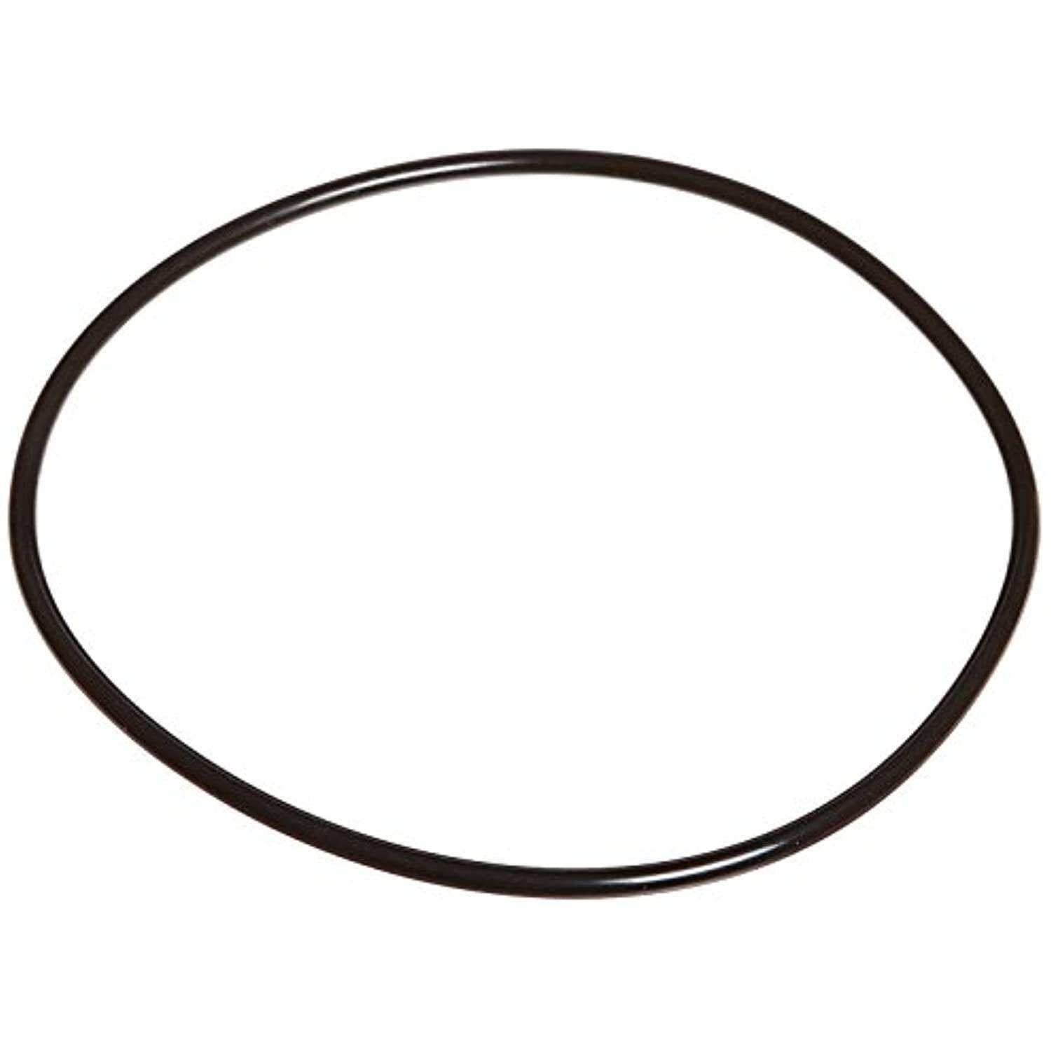 Zodiac Pool Systems R0536600 Back Plate O-Ring for Swimming Pool - Getlegitdeals