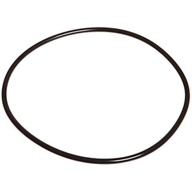 Zodiac Pool Systems R0536600 Back Plate O-Ring for Swimming Pool - Getlegitdeals