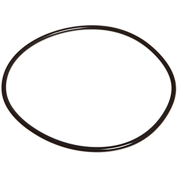 Zodiac Pool Systems R0536600 Back Plate O-Ring for Swimming Pool - Getlegitdeals