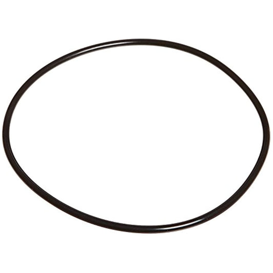 Zodiac Pool Systems R0536600 Back Plate O-Ring for Swimming Pool