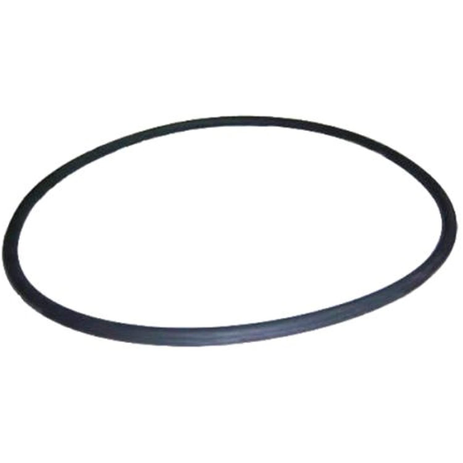 Sta-Rite System 3 O Ring for 25" Pool Filter Tank 24850-0009 Replacement O-486 - Getlegitdeals