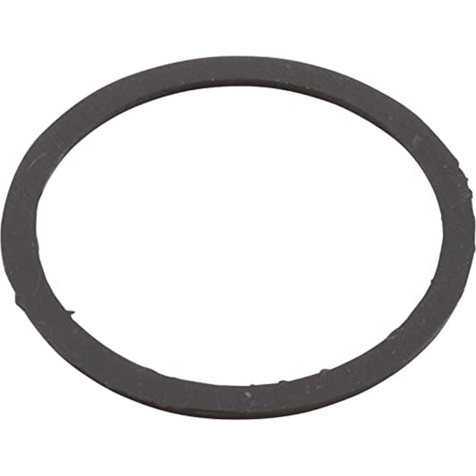 Waterway Plastics 806105124913 Internal Black Gasket Poly Jet