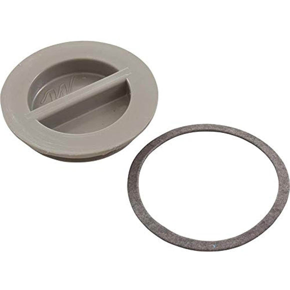 Waterway Plastics WW4004147B 1.5 in. Flush Plug with Gasket44; Gray - Getlegitdeals