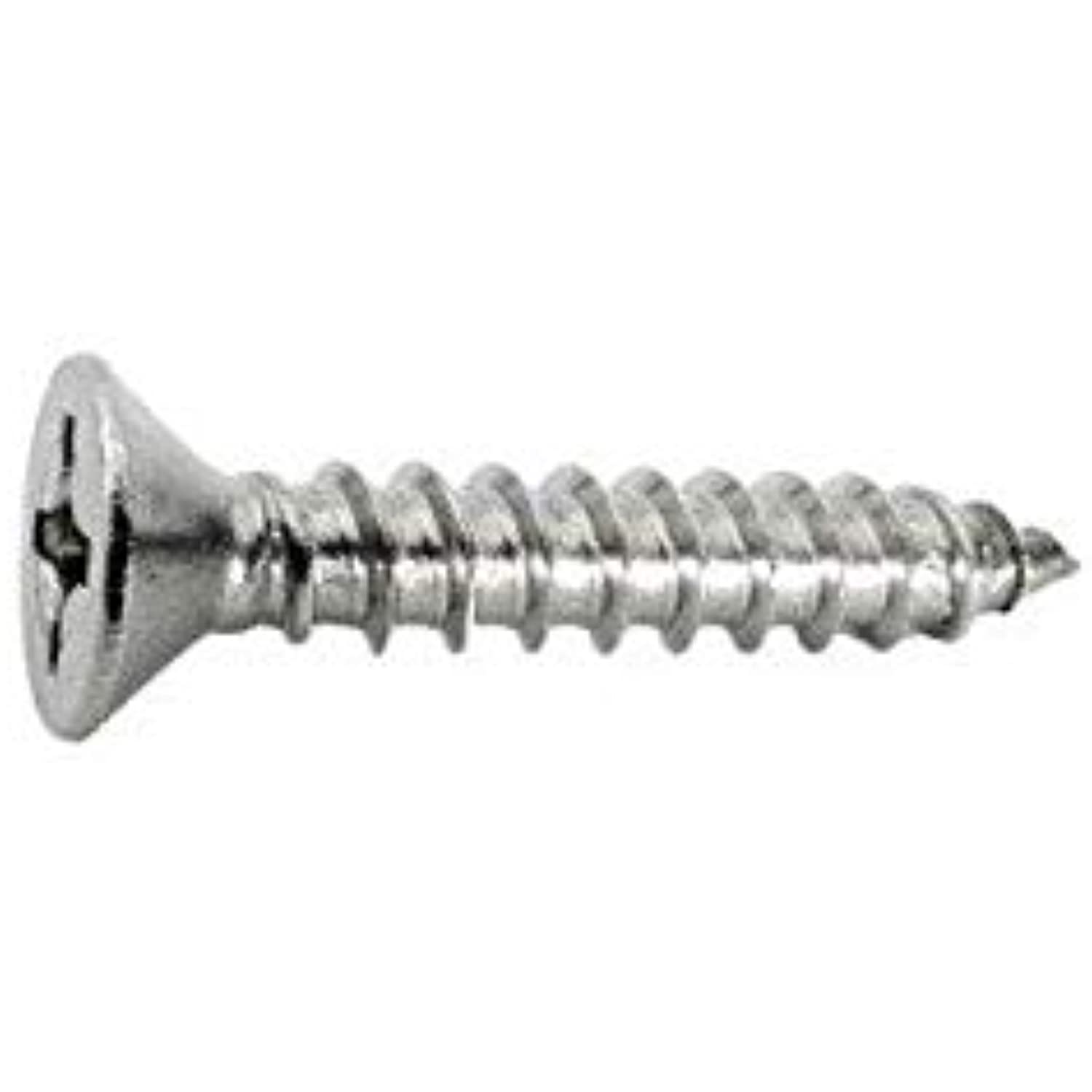 Waterway Plastics 806105136381 12 x 1 1/4" PFH & PGH Screw - Getlegitdeals