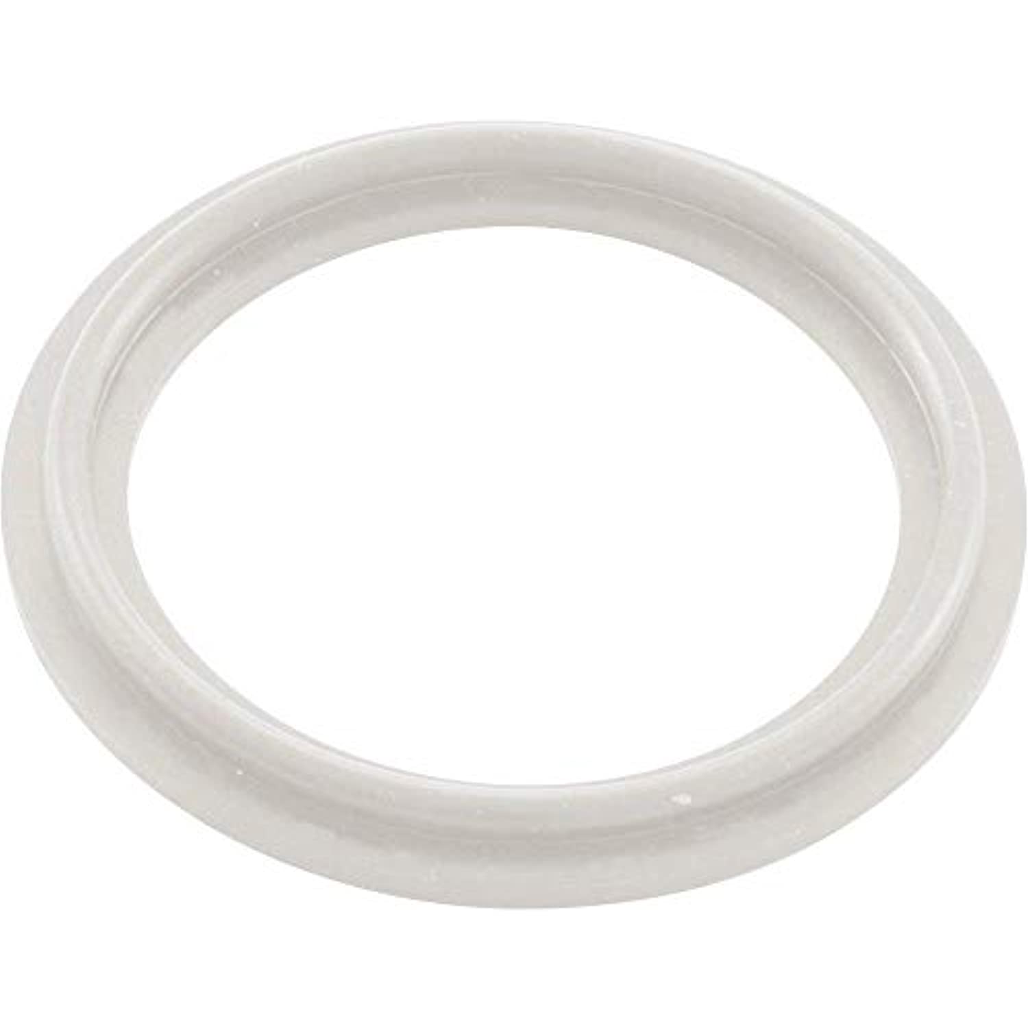 Waterway Plastics 806105124593 2" Heater O-Ring/Gasket - Getlegitdeals