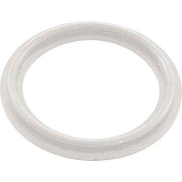 Waterway Plastics 806105124593 2" Heater O-Ring/Gasket - Getlegitdeals