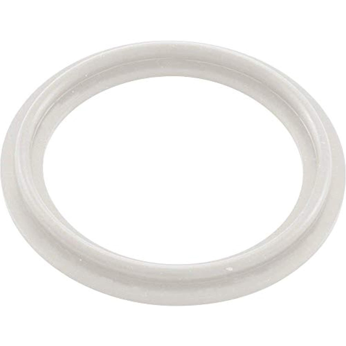 Waterway Plastics 806105124593 2" Heater O-Ring/Gasket