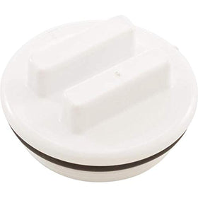 Waterway Plastics 2" N.P.T. Plug W/Oring - Getlegitdeals