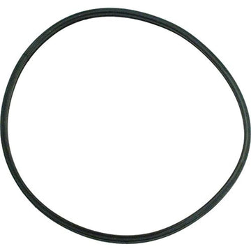 Pentair U9-376 O-Ring Parker Replacement Pool and Spa Pump - Getlegitdeals