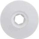 Waterway Plastics 806105046383 Internal Large Face White Ozone/Cluster - Getlegitdeals