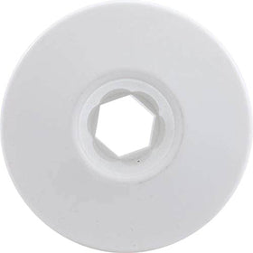 Waterway Plastics 806105046383 Internal Large Face White Ozone/Cluster - Getlegitdeals