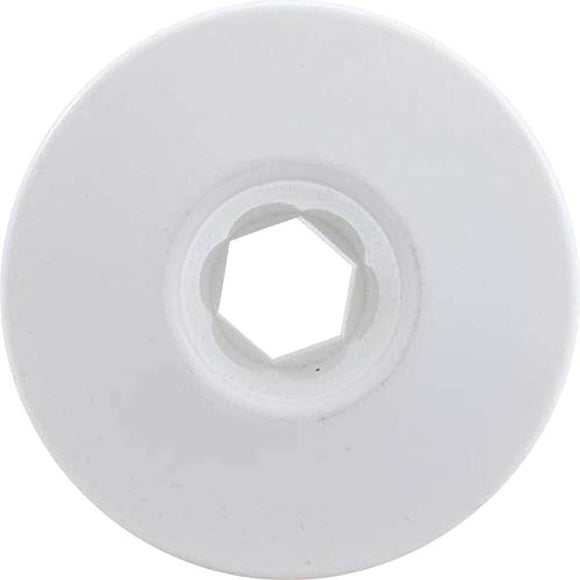 Waterway Plastics 806105046383 Internal Large Face White Ozone/Cluster - Getlegitdeals