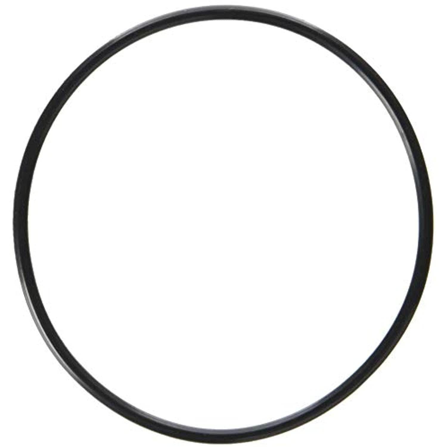 Waterway Plastics 806105129666 Serviceable Swing Check Valve Cover O-Ring - Getlegitdeals