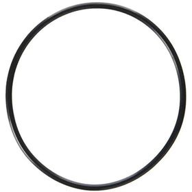 Waterway Plastics 806105129666 Serviceable Swing Check Valve Cover O-Ring - Getlegitdeals