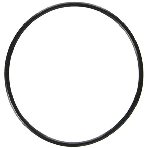 Waterway Plastics 806105129666 Serviceable Swing Check Valve Cover O-Ring - Getlegitdeals
