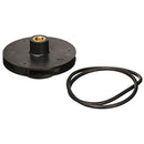 Zodiac R0479602 1-HP Impeller, Screw and Backplate O-Ring Replacement for Zodiac Jandy FloPro FHPM Series Pump - Getlegitdeals