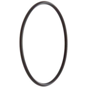 Pentair 192323 O-Ring Replacement Pool/Spa D.E. Filter and Pump - Getlegitdeals