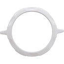 Custom Molded Products Cover, CMP PowerClean Mini Chlorinator, White - Getlegitdeals