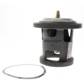 Raypack 006720F Plug Unitherm Governor Capron by Raypak - Getlegitdeals