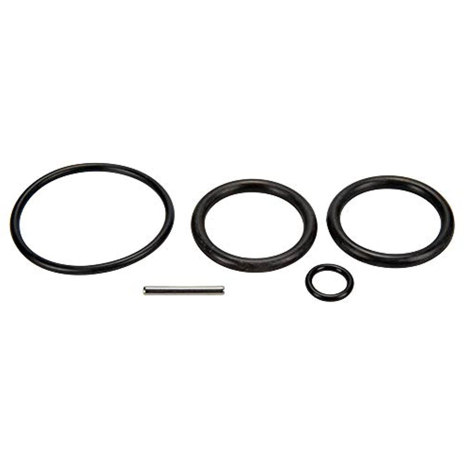 Pentair 263054 O-Ring Kit for Push/Pull Slide Valve - Getlegitdeals