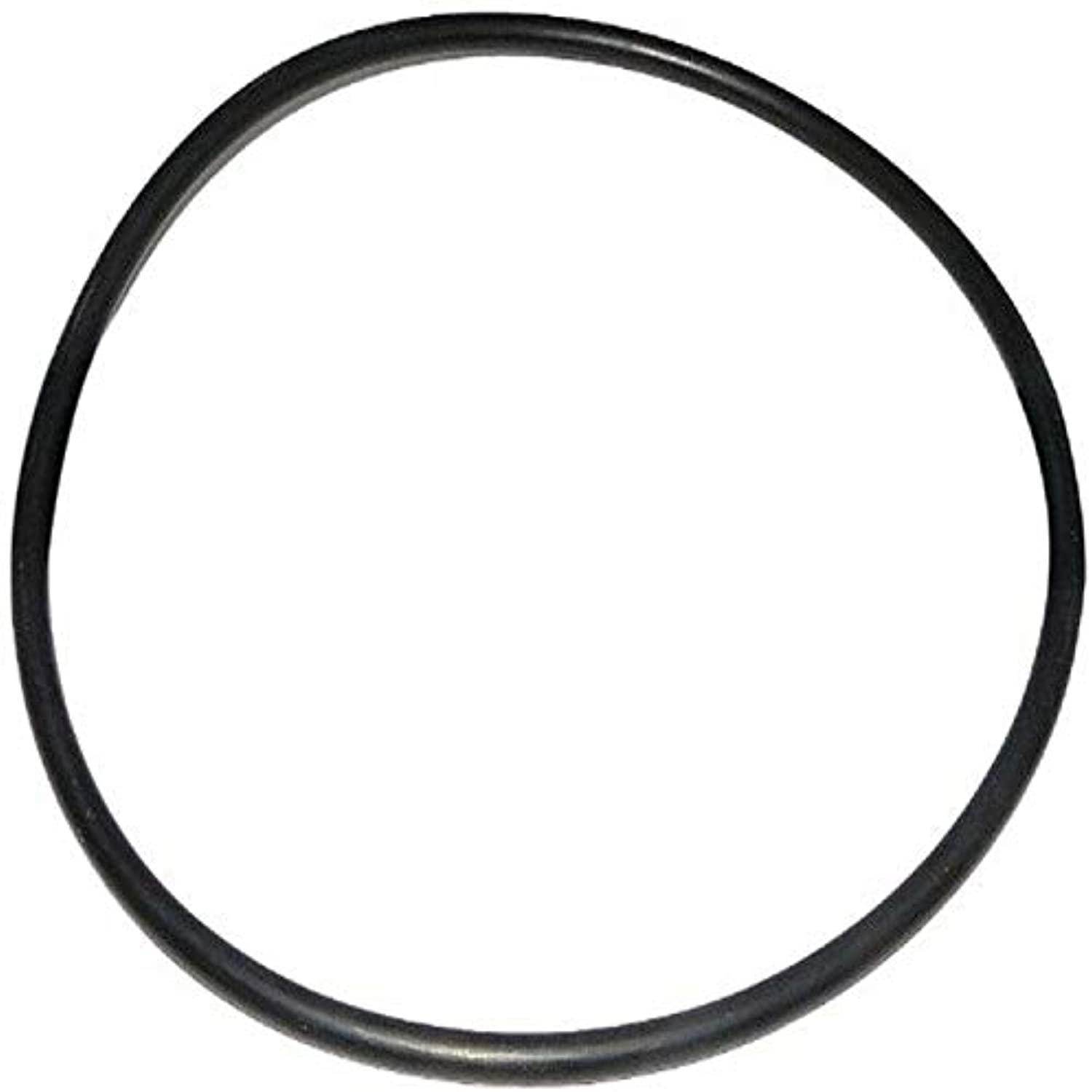 Zodiac R0558800 Pot Lid O-Ring Replacement for Select Zodiac Jandy PHP Series Pool and Spa Pumps - Getlegitdeals