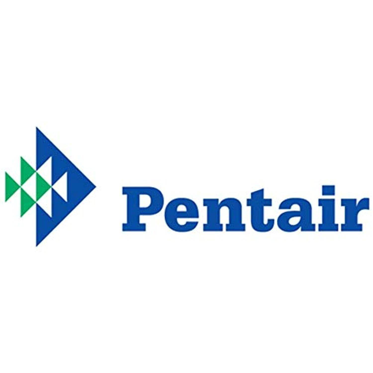 Pentair 79108500Z Gasket, White - Getlegitdeals