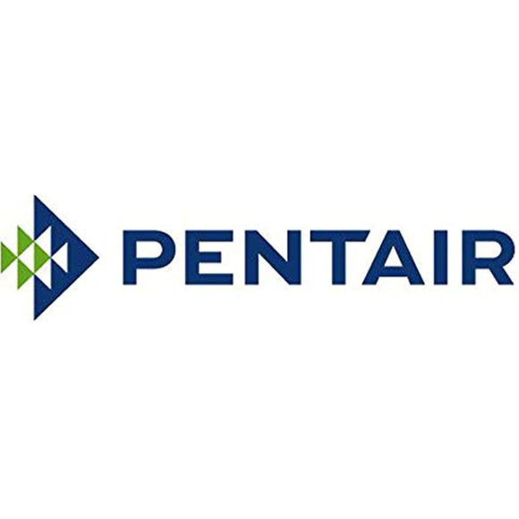 Pentair 79108500Z Gasket, White - Getlegitdeals