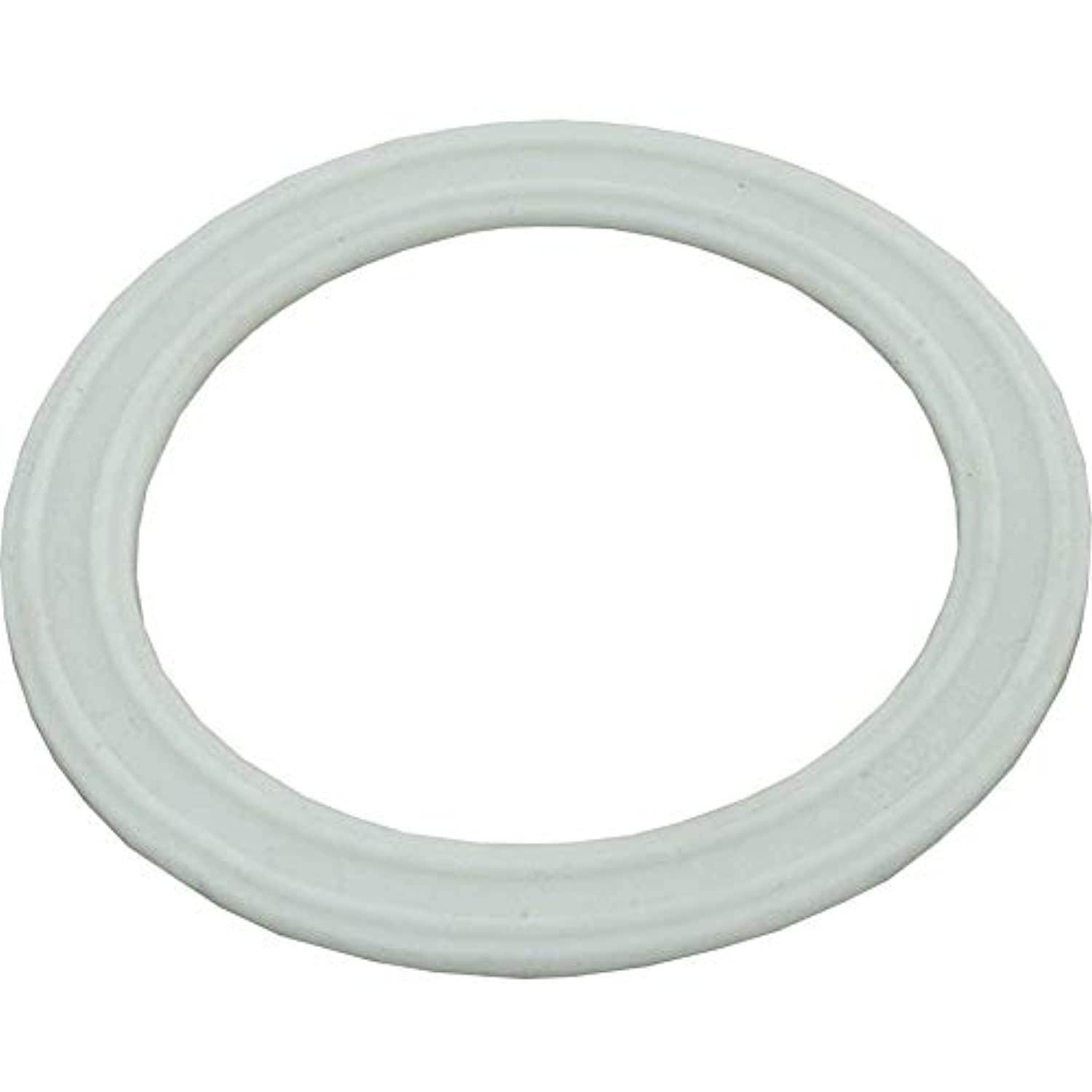 Waterway Plastics 806105124654 Light Lens Gasket - Getlegitdeals