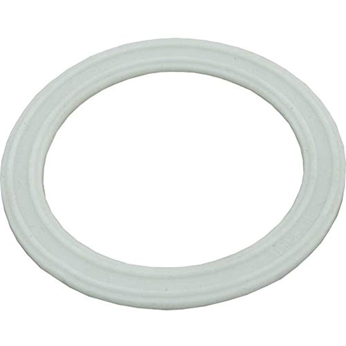 Waterway Plastics 806105124654 Light Lens Gasket