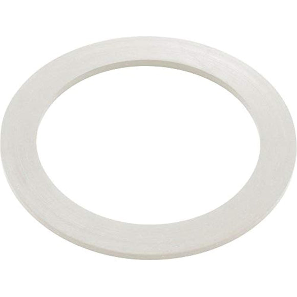 Waterway Plastics 806105124593 2" Heater O-Ring/Gasket - Getlegitdeals