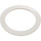 Waterway Plastics 806105124593 2" Heater O-Ring/Gasket