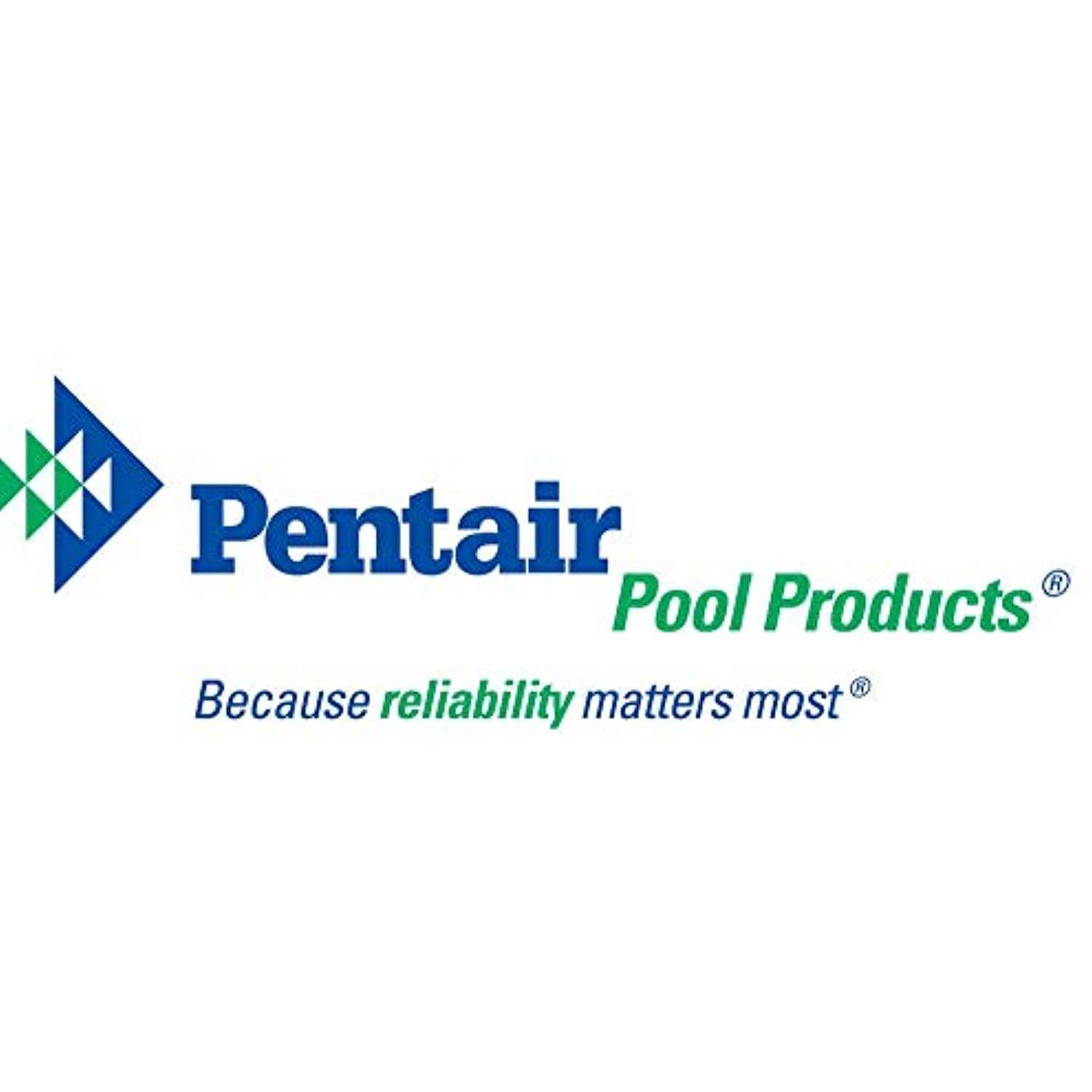 Pentair R121026 119 Blue Molded Frame Hand Skimmer with Reinforced Aluminum Handle - Getlegitdeals