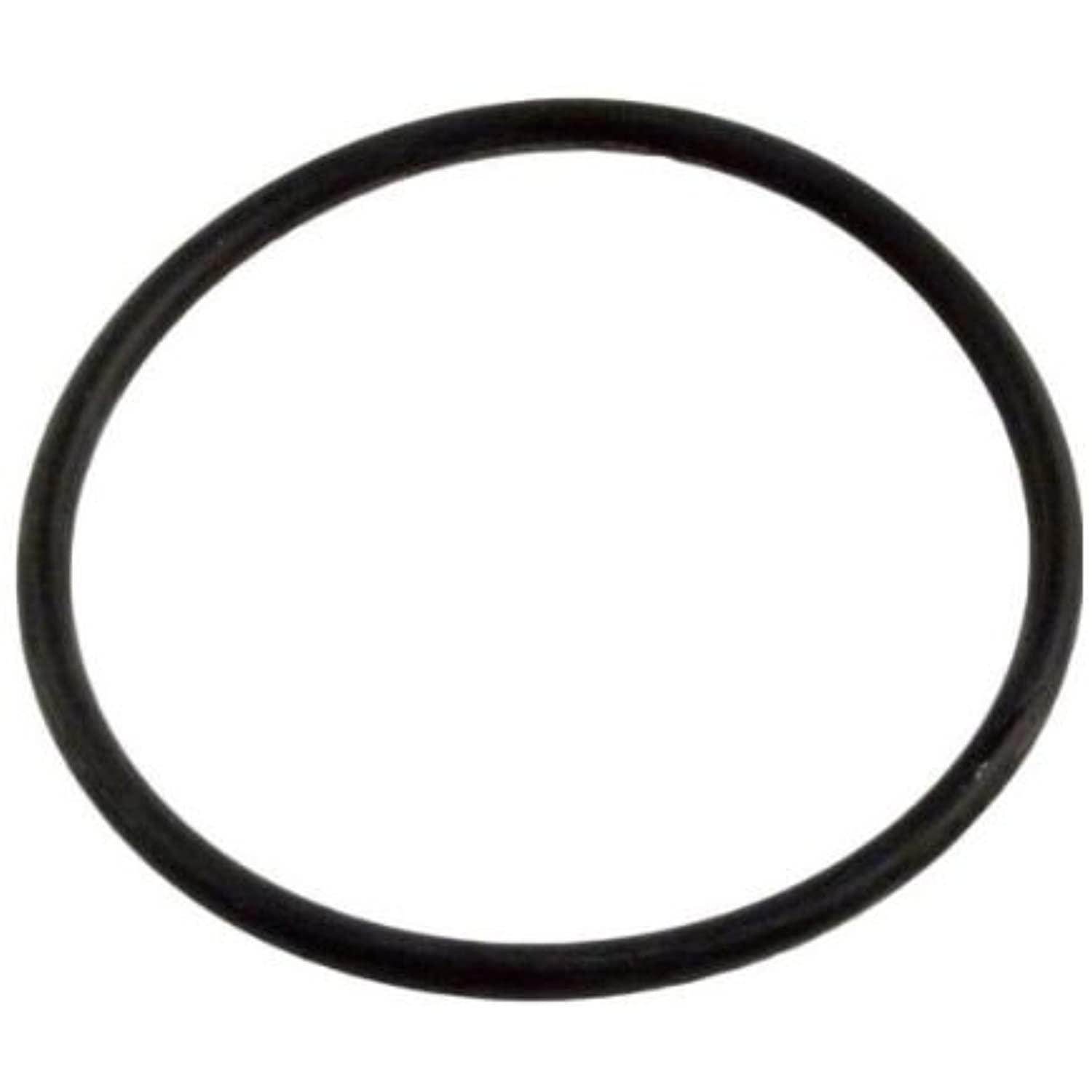 Pentair 355330 Strainer Flange O-RIN - Getlegitdeals