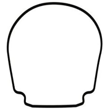 Pentair 357100Z Gasket, Black - Getlegitdeals