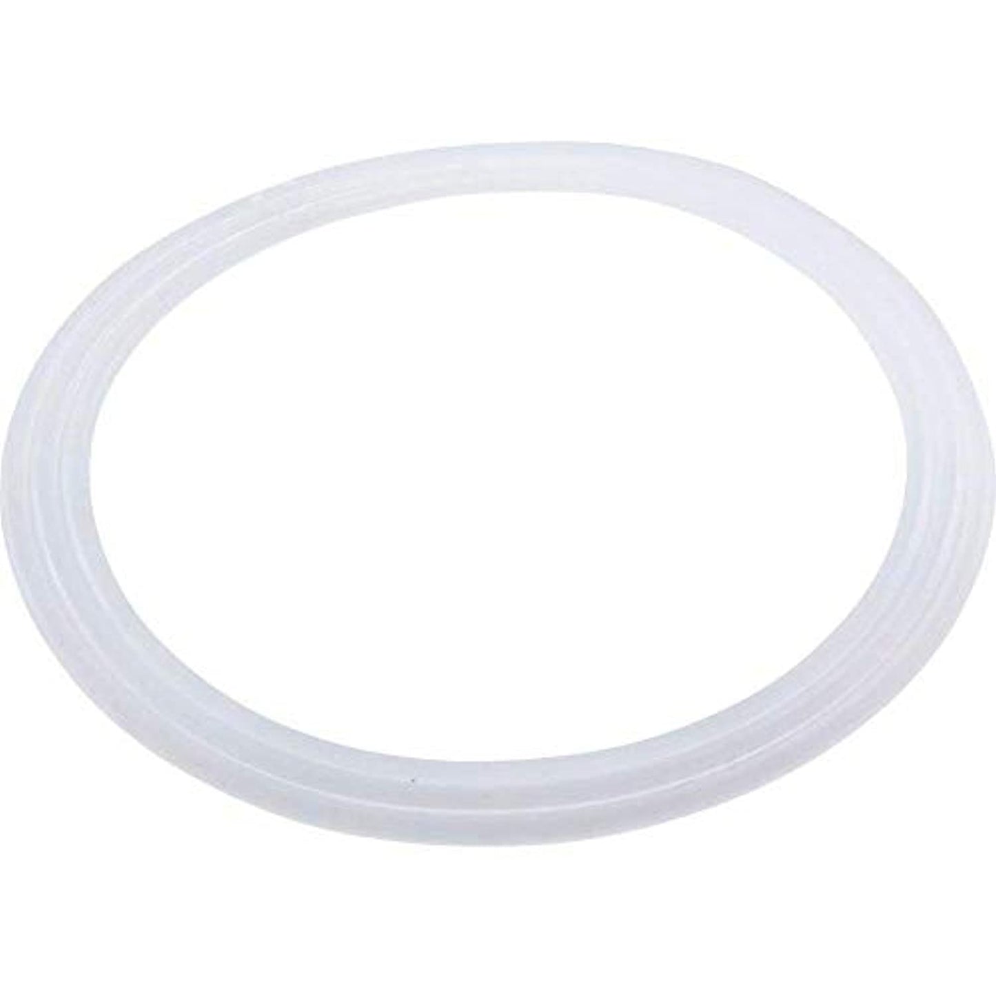 Waterway Plastics 806105124951 Storm Jet Gasket Flat