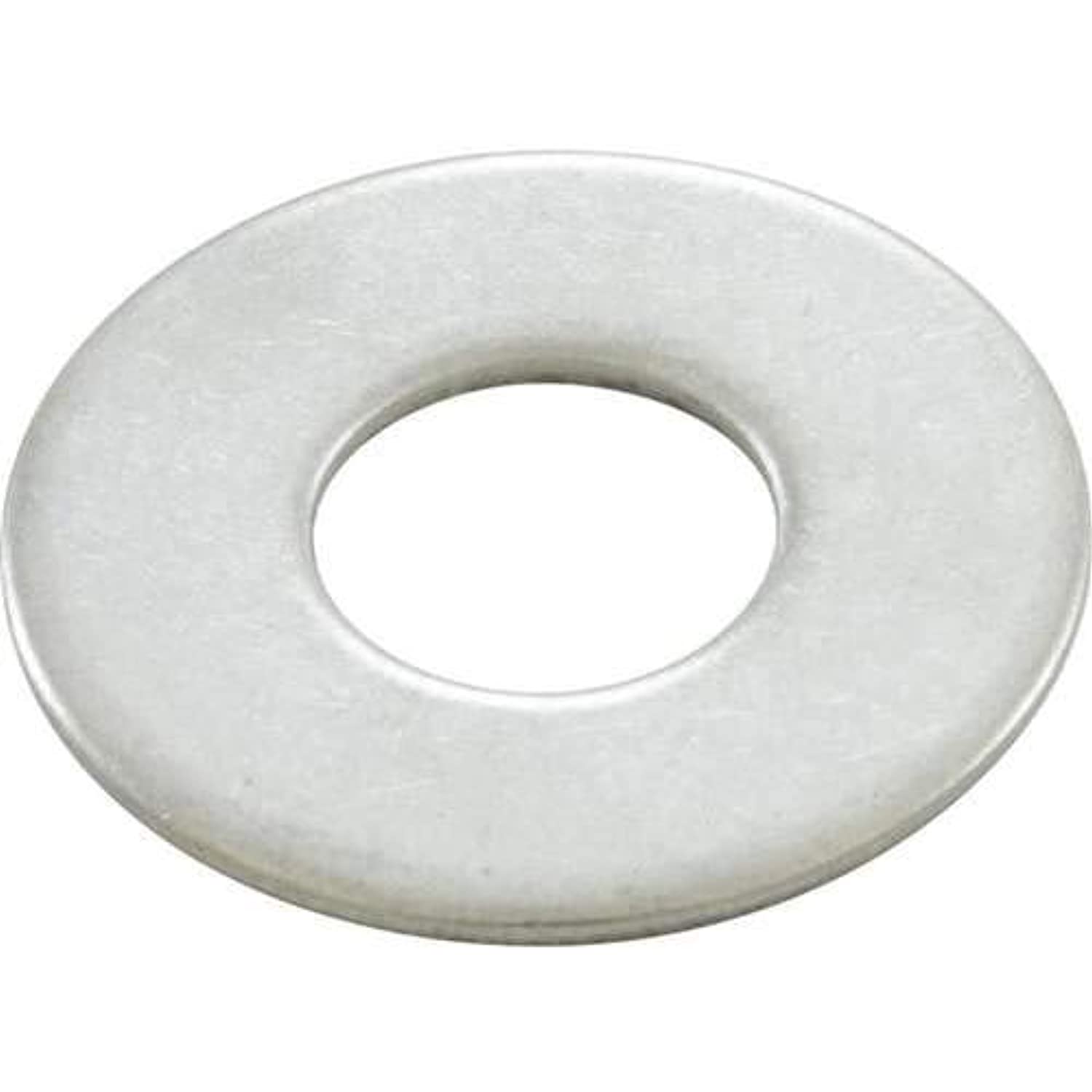 Pentair Washer, EQ Series, Flat, 1/2" id x 1-1/4" od, ss #75842 - Getlegitdeals