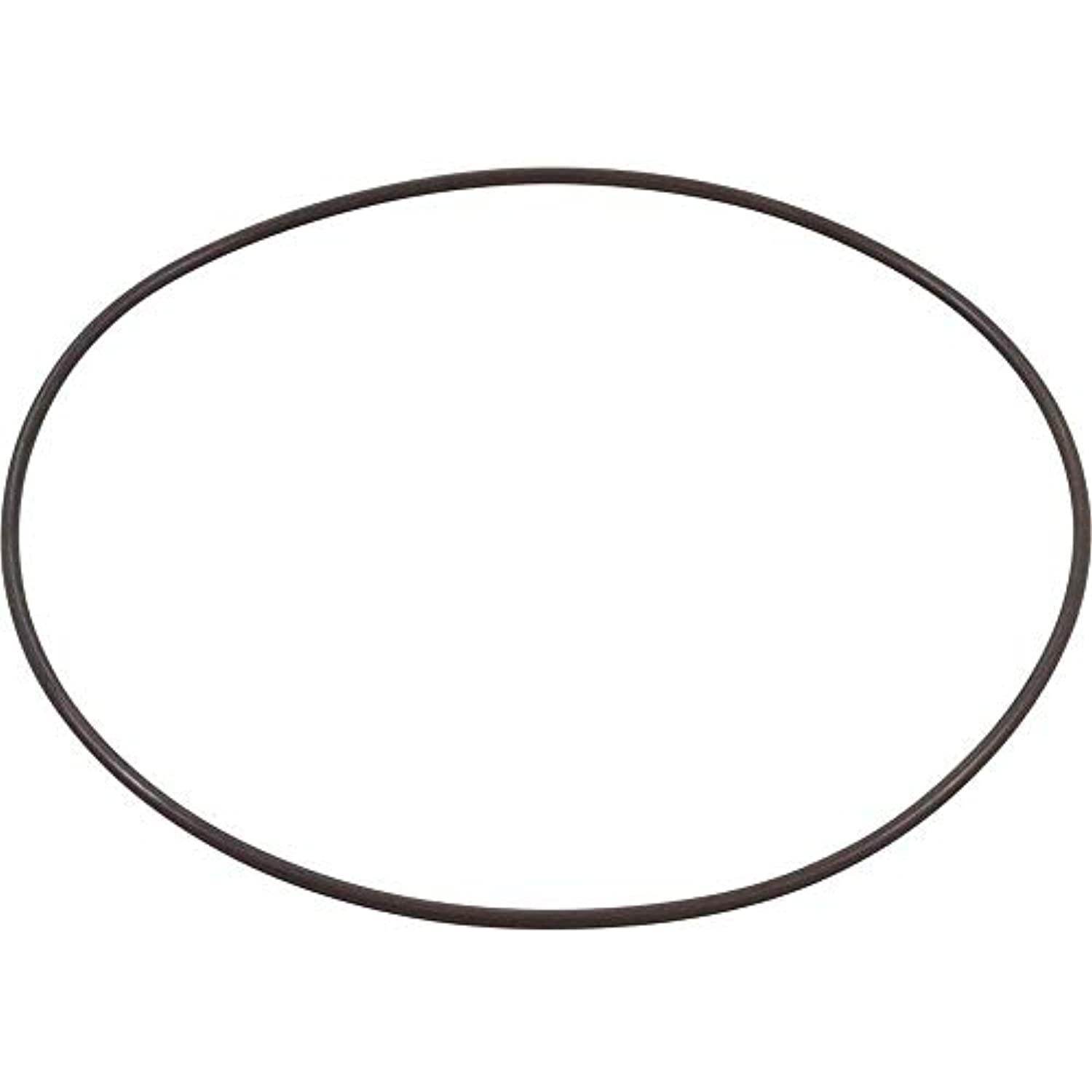 Waterway Plastics 806105129734 O-Ring Volute Executive Faceplate - Getlegitdeals