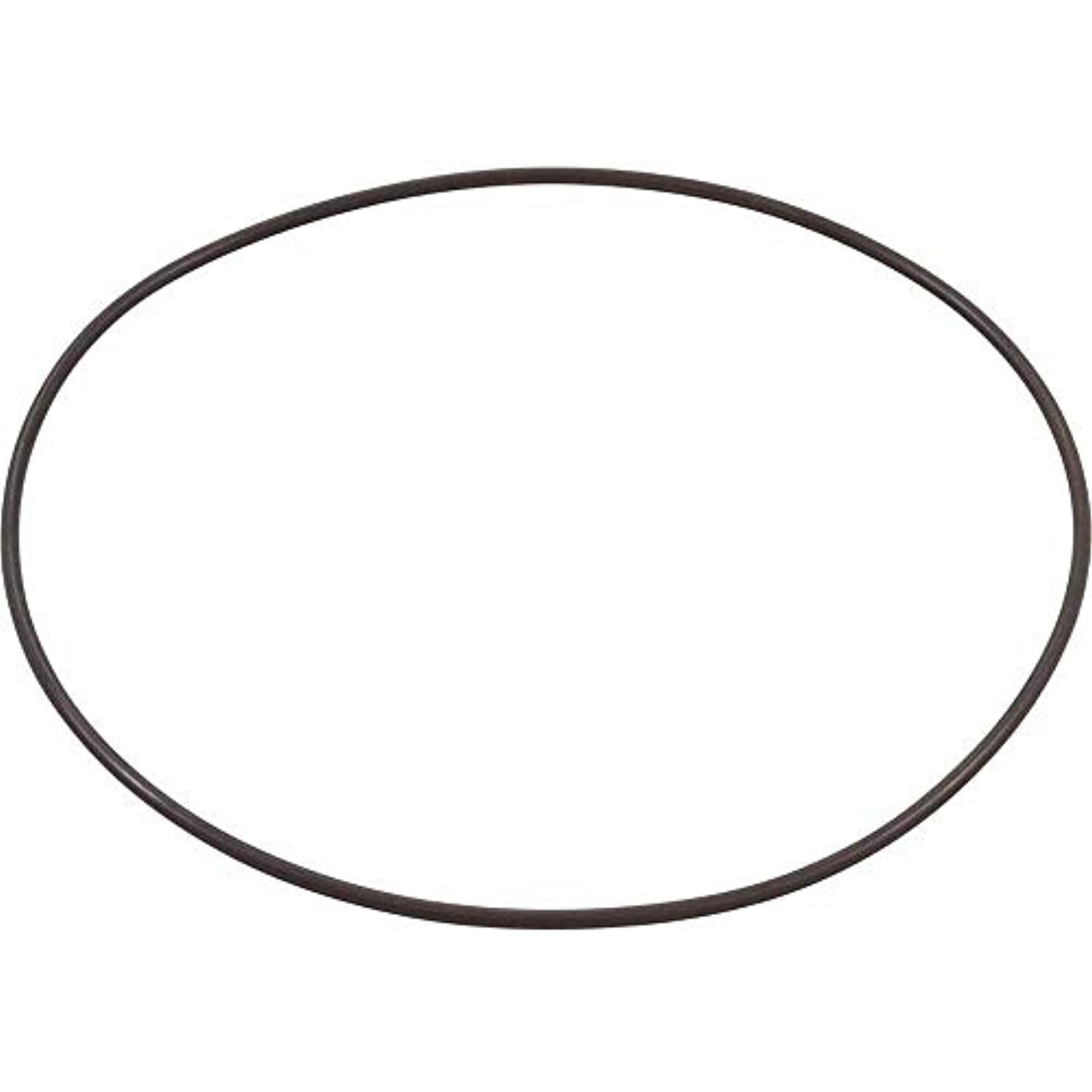 Waterway Plastics 806105129734 O-Ring Volute Executive Faceplate