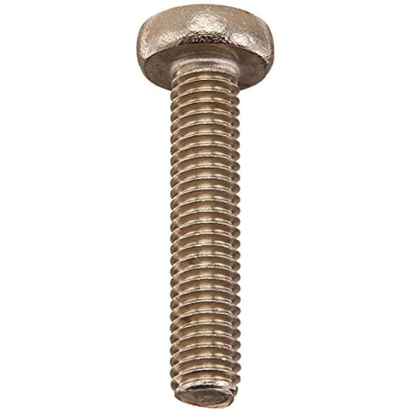 Pentair 152168 Stainless Steel Pad Head Screw Replacement Pool/Spa Filter and Valve - Getlegitdeals