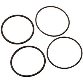 Raypack 006724F O-Ring Kit for 2-Inch Connector - Getlegitdeals