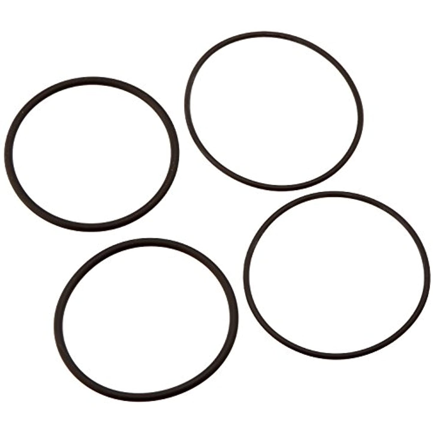 Raypack 006724F O-Ring Kit for 2-Inch Connector